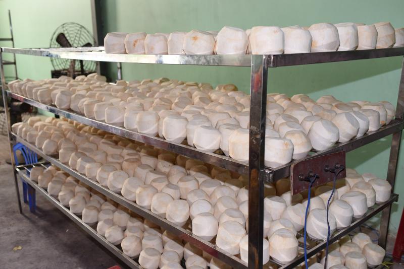 Giá trị xuất khẩu của dừa tươi tại Việt Nam