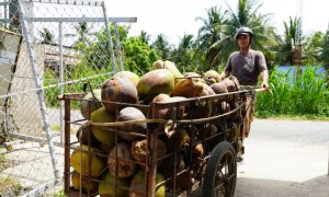 Lưu bản nháp tự động